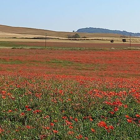 Appartamento Con Vista Panoramica Pienza Dış mekan fotoğraf