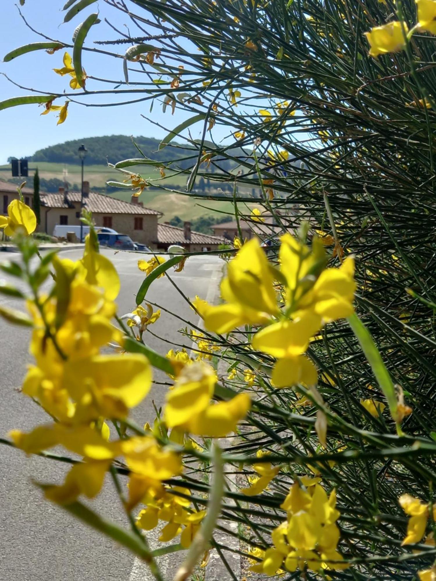 Appartamento Con Vista Panoramica Pienza Dış mekan fotoğraf